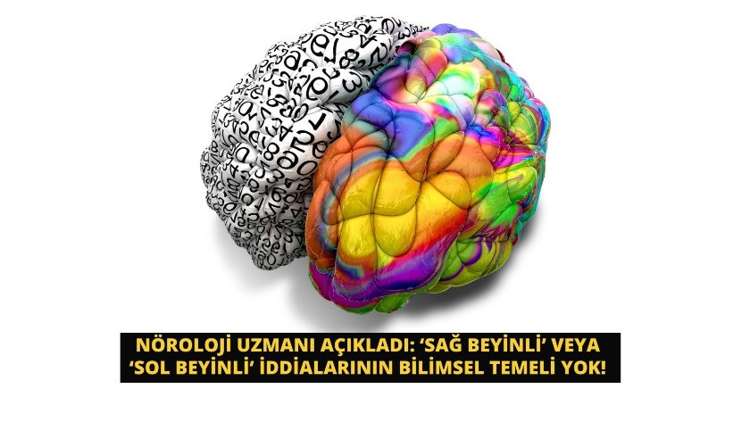 Nöroloji Uzmanı açıkladı: ‘Sağ beyinli’ veya ‘Sol beyinli’ iddialarının bilimsel temeli yok!