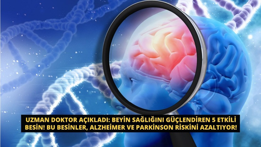 Alzheimer ve Parkinson riskini azaltan 5 etkili besin!