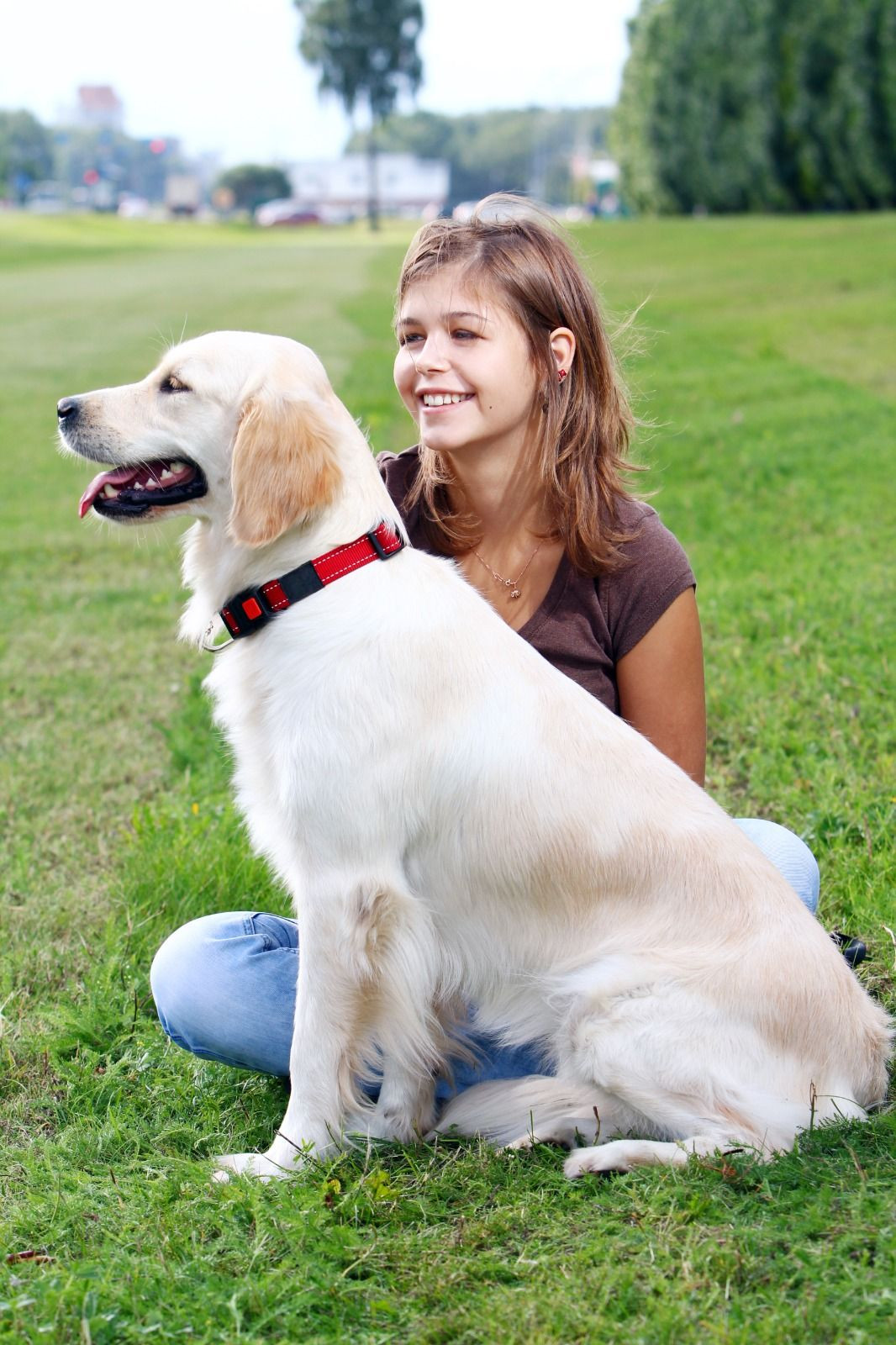 Köpeğinizin burnundan köpük veya sarı safra geliyorsa ve karnında şişlik varsa dikkat! - Sayfa 3