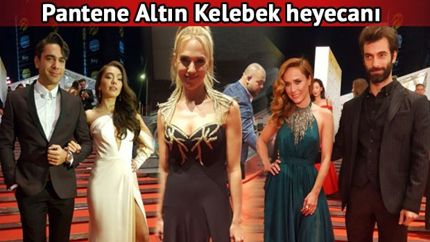 Altın Kelebek