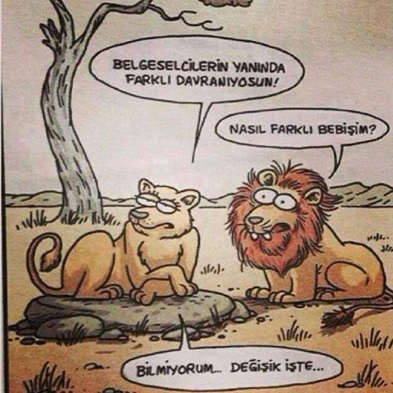 eğlenceli karikatürler - Sayfa 1