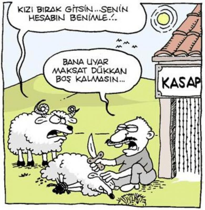 irbirinden eğlenceli karikatürler - Sayfa 1