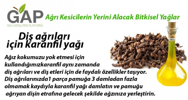 AĞRI KESİCİ ŞİFALI YAĞLAR - Sayfa 4