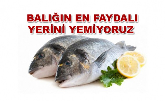 Balığın en faydalı yerini yemiyoruz - Sayfa 1