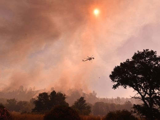 Kaliforniya orman yangınlarıyla boğuşuyor - Sayfa 4