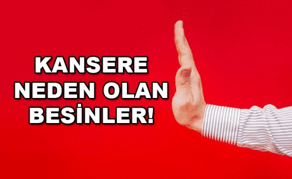 Kansere neden olan besinler!