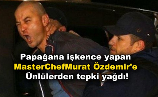 Papağana işkence yapan MasterChef Murat Özdemir'e ünlülerden tepki yağdı!