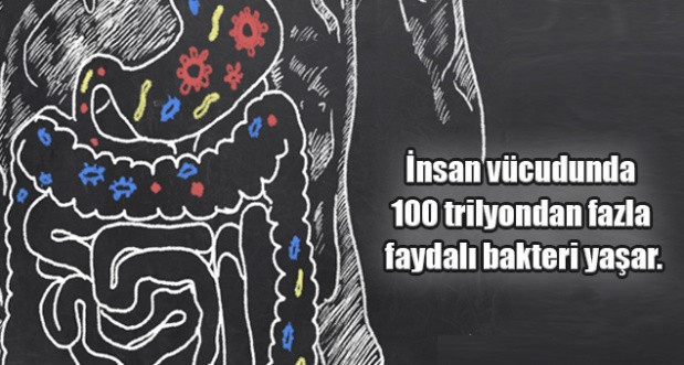 İnsan vucunun en tuhaf özellikleri - Sayfa 1