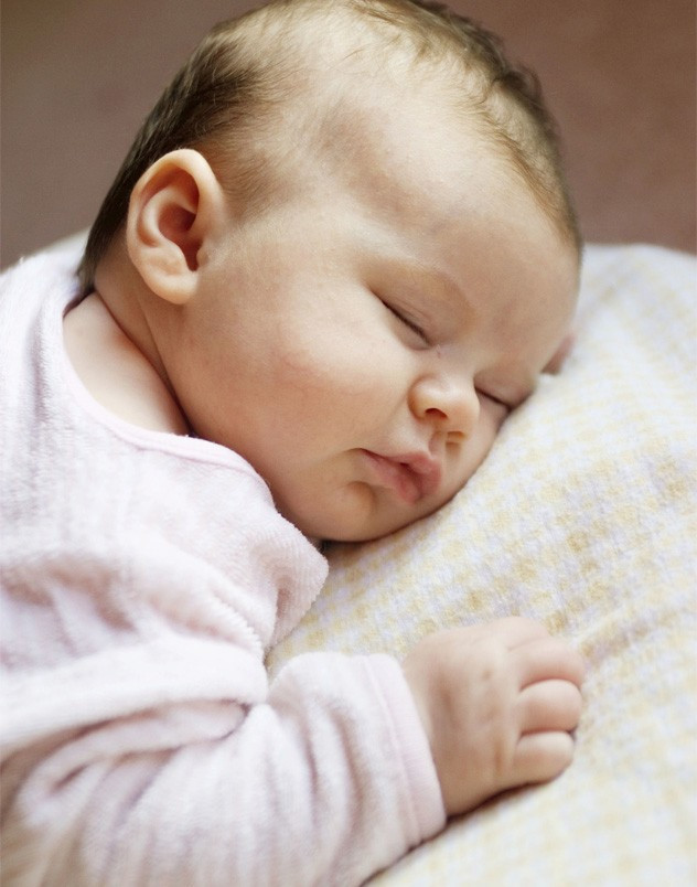Bebek sevimliliğinin önemli bir işlevi nedir?