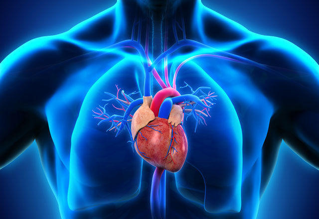 Aort damarı neden ve nasıl yırtılır?