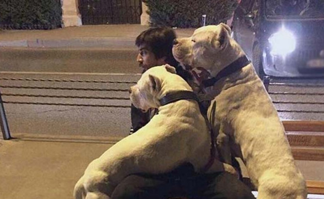 Beşiktaşın kelcisi Tolga Zengin’in köpek sevgisi