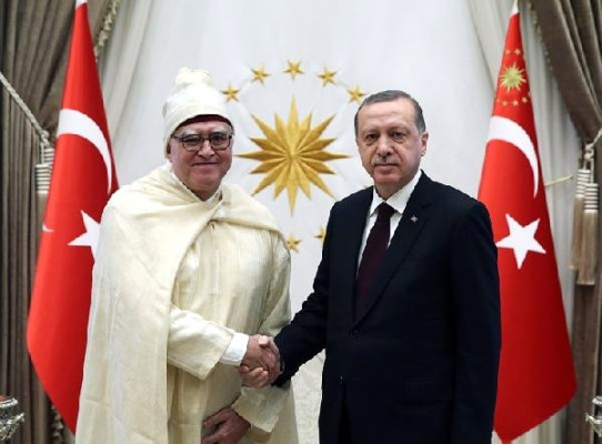 Cumhurbaşkanı Erdoğan, Fas Büyükelçisi Alem'i kabul etti, Video izle!