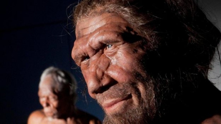 Modern insan Neandertallerin çöküşünü nasıl hızlandırdı?