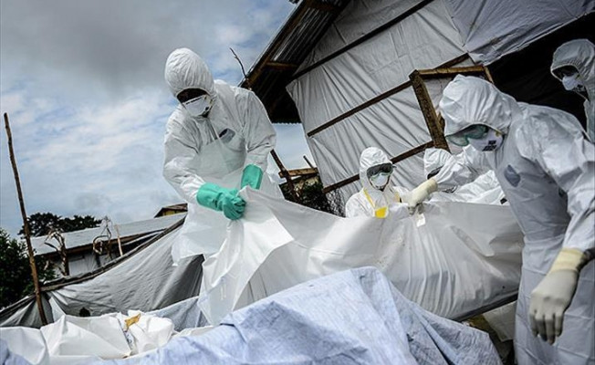 Ebola'yı 'süper dağıtıcılar' yaydı