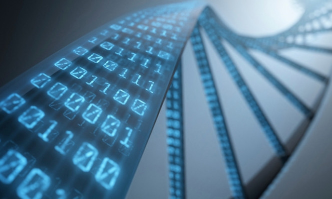 Gelecekte veri depolama alanı, DNA olacak!