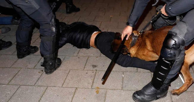 Hollanda Polisinin köpeklerle saldırdığı Hüseyin Kurt İstanbul'da