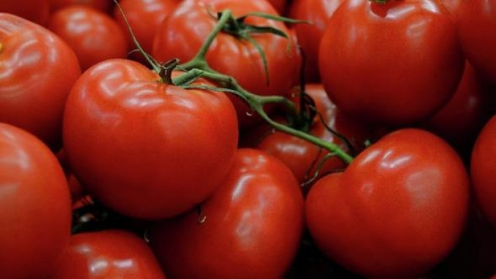 Rusya, 1 ton Türk domatesini imha etti!