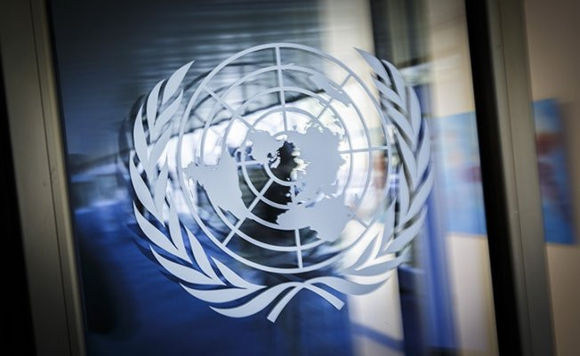 BM'deki 3 kuruluşun istişari statüleri düşürüldü Peki neden?