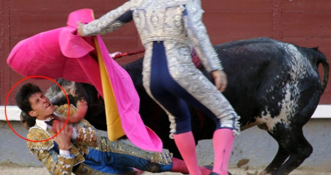 Sinirlenen boğa matadoru delik deşik etti video izle