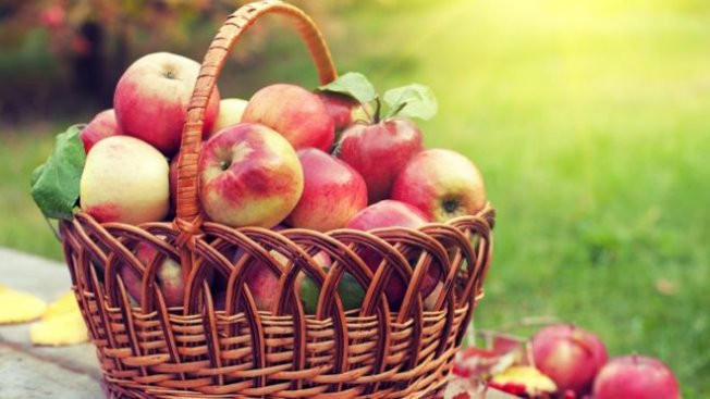 Elmalar aylarca neden çürümüyor?