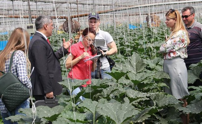 Rus tarım heyeti Antalya'da incelemelerde bulundu