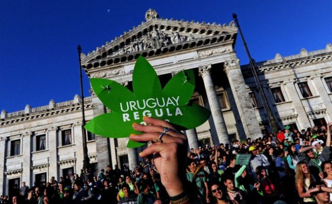 Uruguay'da eczaneler esrar satışına başlıyor