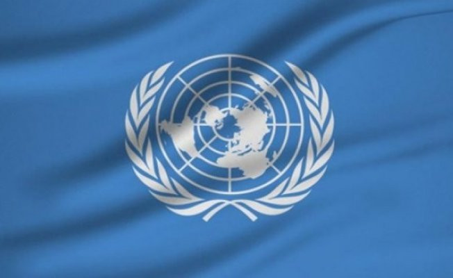 Birleşmiş Milletler'den Türkiye'ye büyük övgü