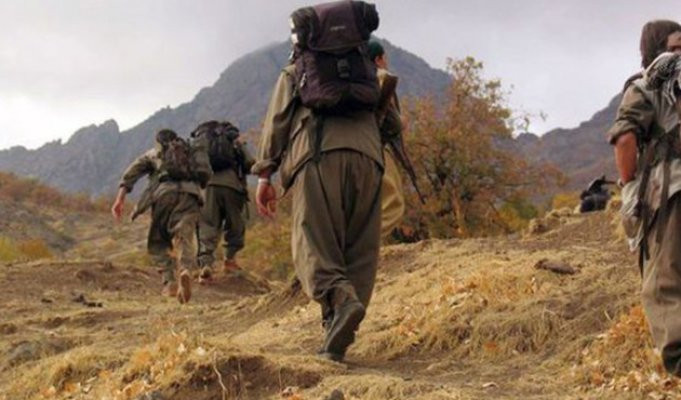 PKK'ya ağır darbe! Hepsi cayır cayır yakıldı