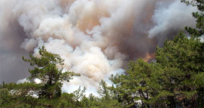 Marmaris'te orman yangını! video izle