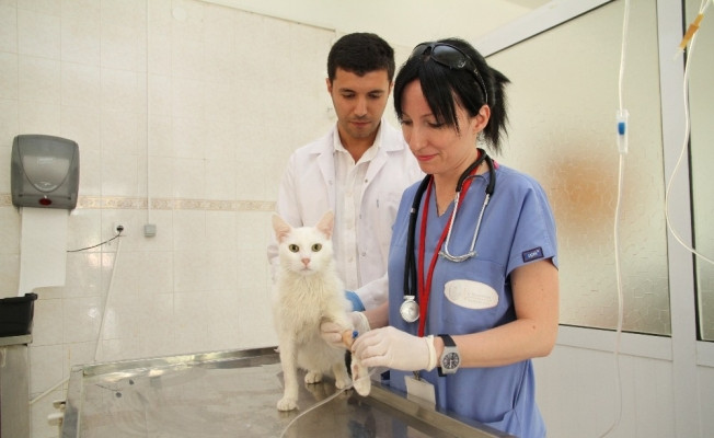ADÜ Veteriner Fakültesi Hastanesi yılda 4 bin hastaya bakıyor