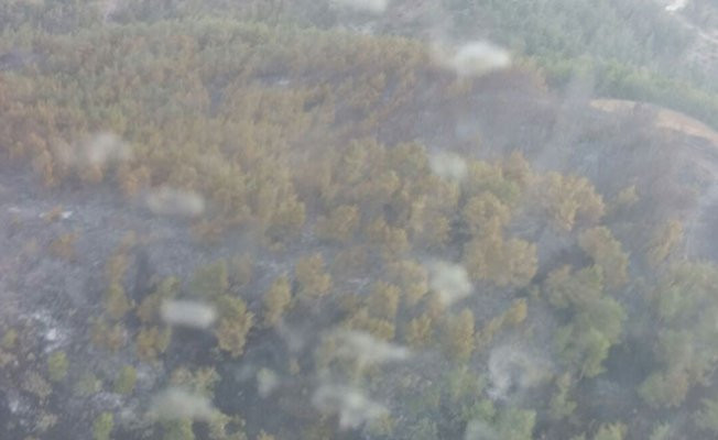 Amanoslar'da 7 hektarlık orman yandı