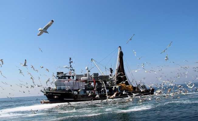 Başkandan balıkçılara ‘bereketli av’ dileği