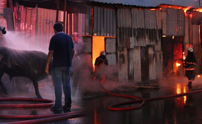 İstanbul'da kurbanlıkların bulunduğu barınakta yangın!