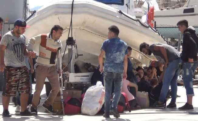 Ayvalık’ta 47 Suriyeli mülteci daha yakalandı