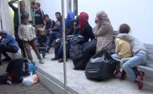 Ayvalık’ta 52 göçmen jandarmadan kaçamadı