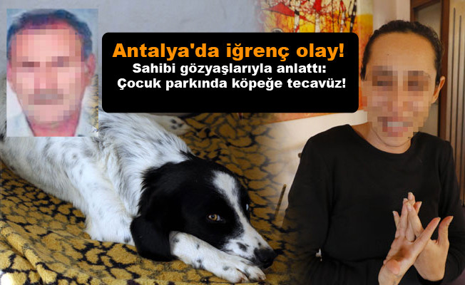 Antalya'da iğrenç olay! Sahibi gözyaşlarıyla anlattı: Çocuk parkında köpeğe tecavüz etti!