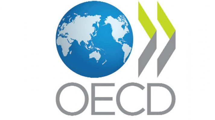 OECD Türkiye için büyüme tahminini yükseltti!