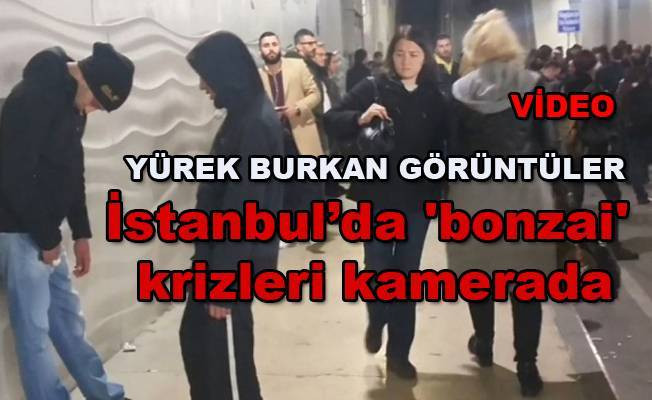 Yürek burkan görüntüler! İstanbul’da 'bonzai' krizleri kamerada izle