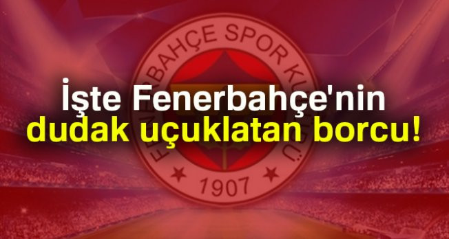 Fenerbahçe'nin borcu 311 milyon TL