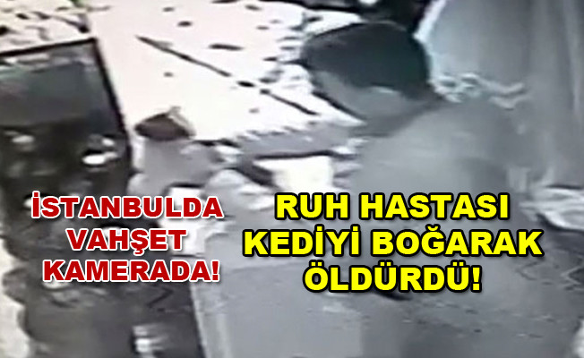 Ruh hastası kediyi boğdu! İstanbul Ümraniye'de vahşet kamerada izle