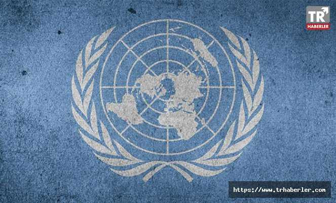 BM'den Suriye'de 30 günlük ateşkes kararı