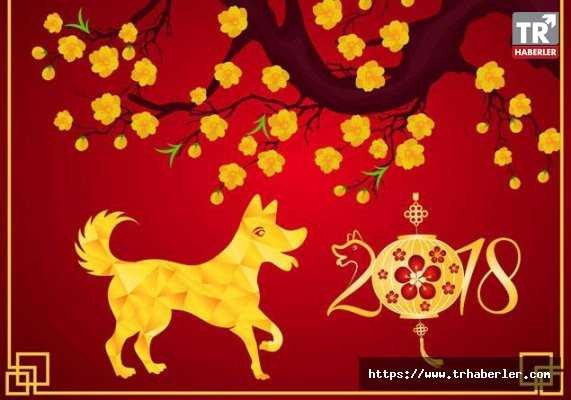 Çin, Köpek Yılı’na giriyor! Köpek yılı nedir? İşte köpek burcunun özellikleri