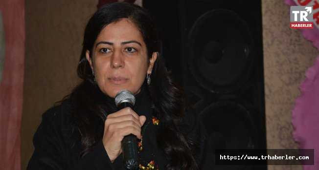 Eski BDP Batman Milletvekili Ayla Akat Ata gözaltına alındı