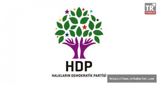 HDP'li Ahmet Yıldırım ve İbrahim Ayhan'ın milletvekillikleri düşürüldü