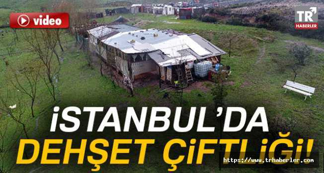İstanbul'da dehşet çiftliği! video izle