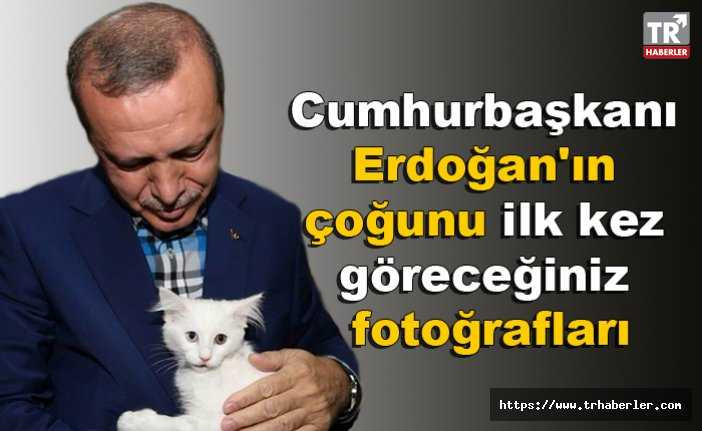 Cumhurbaşkanı Erdoğan'ın çoğunu ilk kez göreceğiniz fotoğrafları