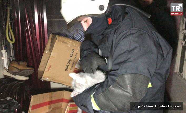 İtfaiye eri evde çıkan yangından etkilenen kedileri kurtarmak için kalp masajı yaptı