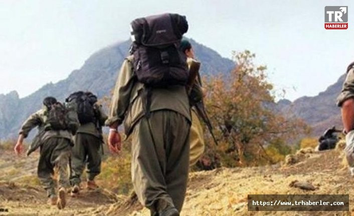 6 PKK'lı terörist ölü ele geçirildi