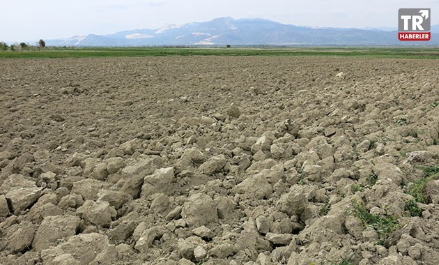 Çiftçiden öz eleştiri: Suyu bitmeyecek gibi kullandık