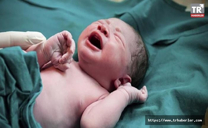"İstanbul'da bir tüp bebek merkezinde embriyoların karıştığı" iddiası